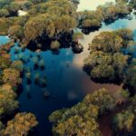 Stunning aerial shot of a vibrant swamp landscape in Marang, Malaysia with trees reflecting in water.